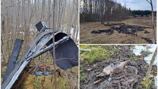 ���������� �����: ����������� ��������������� ��� ����������