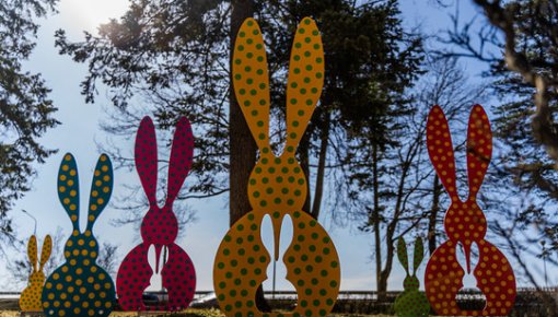 ���� ����� � �����������: ������, ���� ��������������, ��������� �� ������