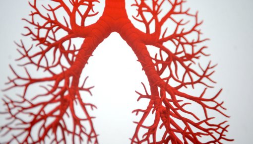 ���� ����������� ��������� ��������� ������