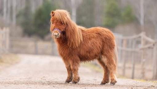 ���� �������� � �������: JuRita ���� ����� ��� ��� �������