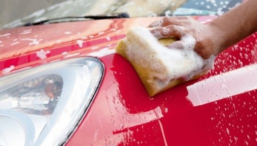 �������� ���� �� �����������: ��� ����������� ����� ������� ����� ����