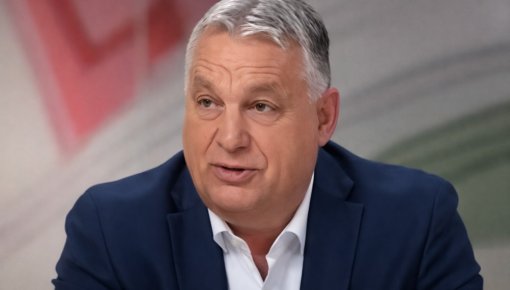 ������� ������ �� � ���� 1:1