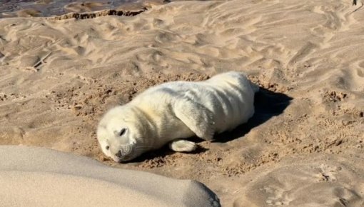 �������� �� ���������� ������: ��� �� ���������?