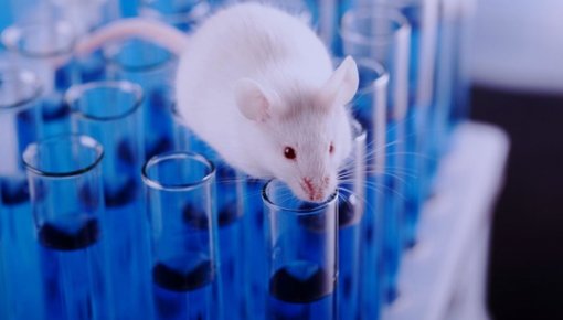 ����� �������� ��������: ������ 20���� ����������� �����