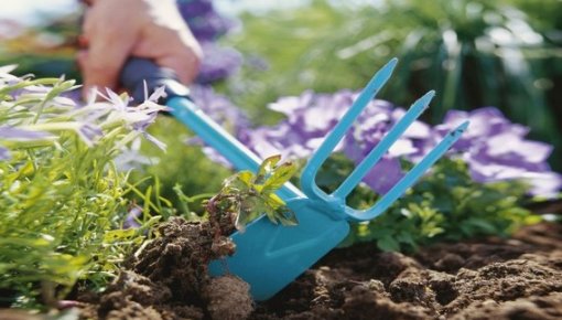 ��� ������� ����� � �����: ������� �������� �� ������� ���������