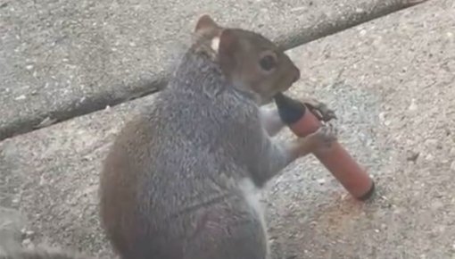 ����� �� ����� ����������� ��������?