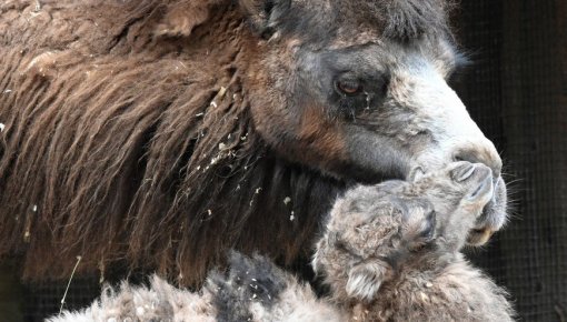 � ��� �� �����! ���� ���������� �������� ������� � ����� �� 1 ����