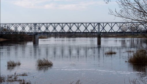 ������ �������� �� �����������: ������� ���� � ������� ����� ����� �� ����