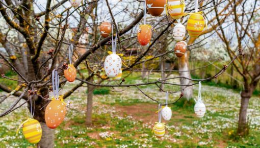 � ���������� � ���������: ������� �������� ������ ��������� ����������� ���������� ��������