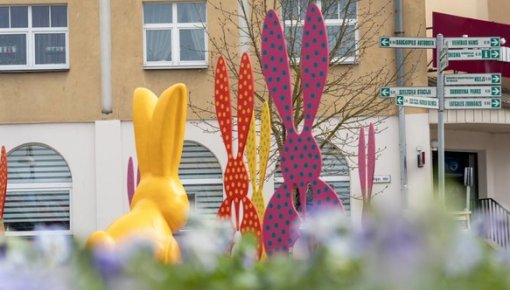 ���� ����� � �����������: ����� �� �������, ������������, ���������