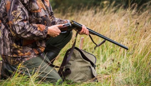 ����� ����� ������, ������� ������: � ������ ������� ����� ��������� �����