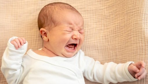 ��� �������� ������ ��������? � ������ ������� ����������, ����������� ���� �������