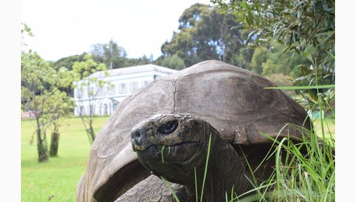 ��������� �������� � ������ ��������� � ���� �������� ��� ����� ������������� � ������������