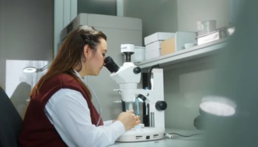 ������� �� ������� ������� ������� �� �������� � ������� �������� �����