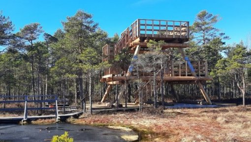 � ��������������� ������ ������� ����� ������������� ���������������������