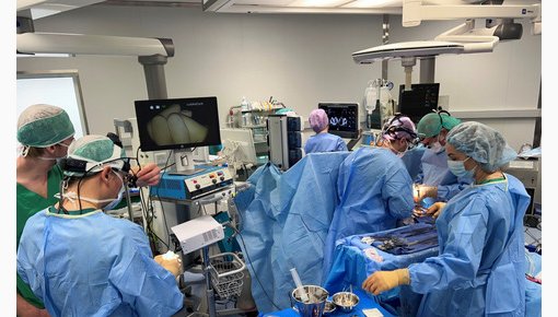 ������ ������� �� ��������: ������ � �������������� � ������