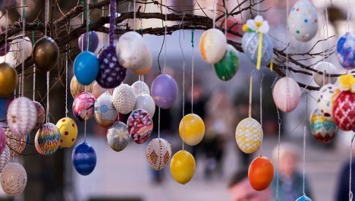 � �������� �� ����� ���������� ����� ����� ������� � �������� ��������-210�