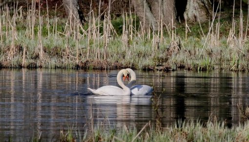 � ������ ���� ����������: �� ��������� ������ ������ ���������� �� +15