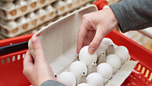 ���������� ���� �� ������������� ���������� ��, �� ���������� ����������� � ����� ���������