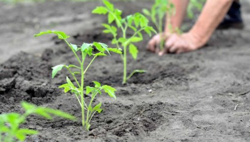 ����� ���������� ������� � �������� �����: ����� ��� �������, �������, ����� � �������