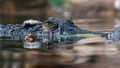 ���� �� �������! ����� ���������� �� ������ ������� ���������� � ����