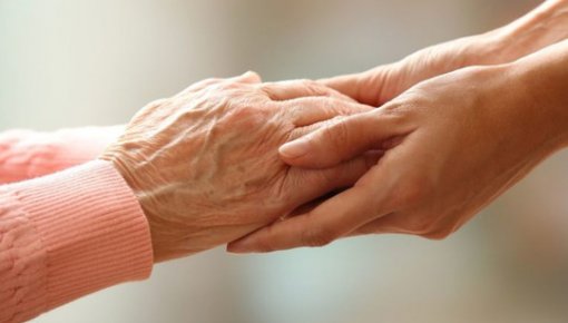 ������ ����������� � ���������: ���������� ������������ �������� ����