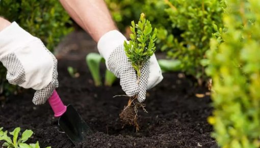 ���� ��� �������? �������� �������, ��� ������ ���������