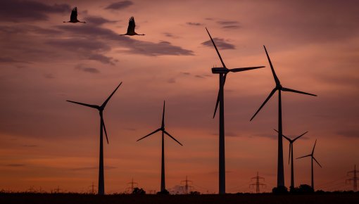 �������� Latvenergo �������� ���������� �� ������������� ���������� � ���������� ����