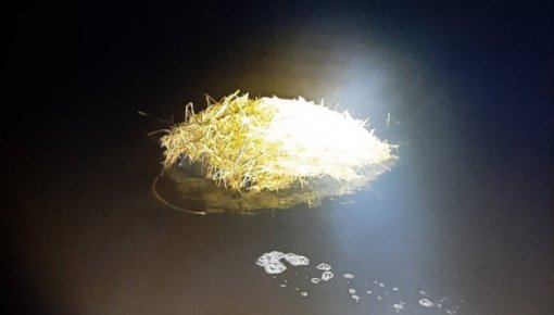 �� ���� ����, ����: �������������� ������������� �� ������ ������