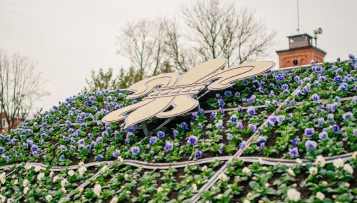 ���� �������: ���������� ������ �������� ������� ���������-2026