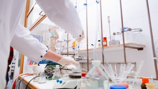 ������ ���� �������: � ��������� ������� ������ ������������� ������� ���������