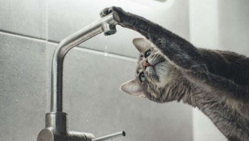 Daugavpils ūdens ����������� �� ���������� ���� 23 � 27 ������