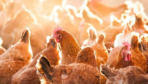 ��������� ������� ����� � ���: � ��������� ����������� ��� ���������