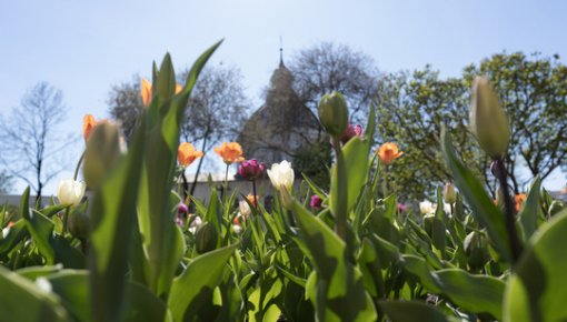 ���� ����� � �����������: ������� �������, ���������� ������. �� �������� ���������, ������-�������