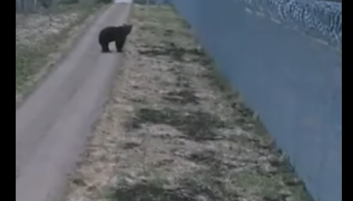 ������� ������� ������������ ���������� ���� �� ��������� (+�����)