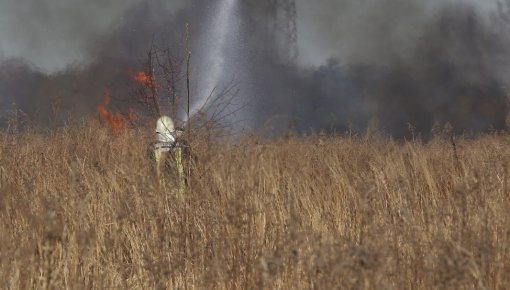 ��� ����� � ������������ ���� ������ � ������ ���������� ���������