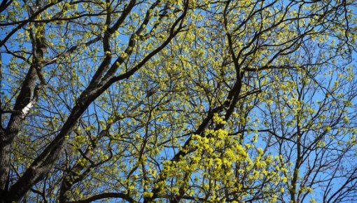 ��� ��������� �������� �� ������� ��� ������������ ��������