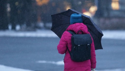 ����� �� 26 �/�, ���� � ����: � ����� ������ ������ ������� ����