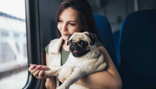 � �� ���������� ������� ��������� �������� ��������: ��� ����� �����