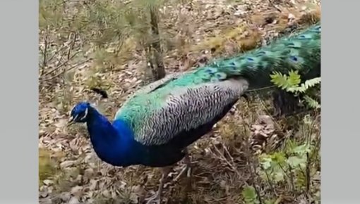 � ���������� ����� ��� ��������� ���� ����������� ������ � ������ ������, ������� ��� ��� �������� �� ����