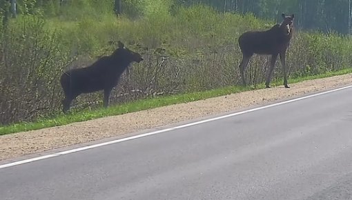���� ���� ��������� �������: ����� ������� ����� ����� ��������