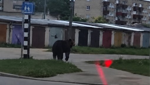 ������� ������ �� ���������: ��� ����� ����������� ����� � ��������� �����