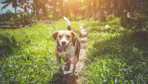 ����� ������ �������� ����� ���� ������: ��� ������ ������ � ������� � ����