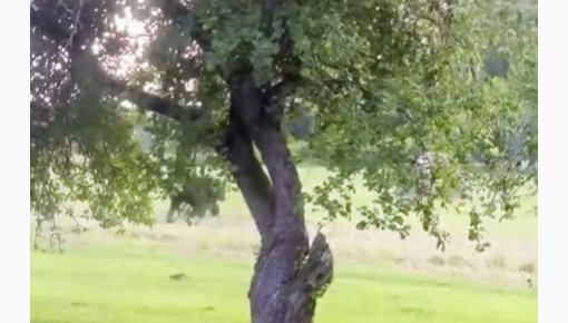 ������� ���������� �� ����� �������� ���� (+�����)