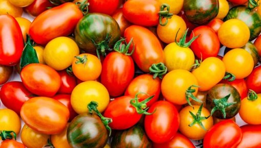 � �� Ditton ������� �������� ������ ������ �������