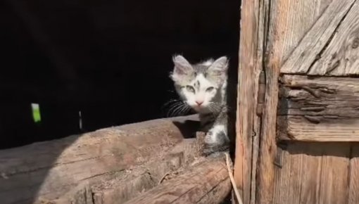 ����� ����� �� ����� ��� ������: Otrā māja ������ ������ �� ������������� �����