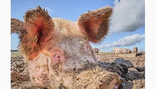 ����� ��� �������� ����������: 15 ����� ������� ������� British Photography Awards