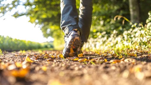 �� ������ �������� �������: � ����������� ������� ����� Mājup. Jaunā Raiņa ceļš
