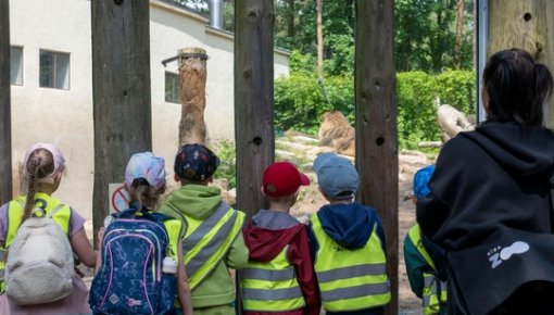 ����� ����� ��������: Rīga ZOO ���������� ��������� ��� ���������� ���� ���������
