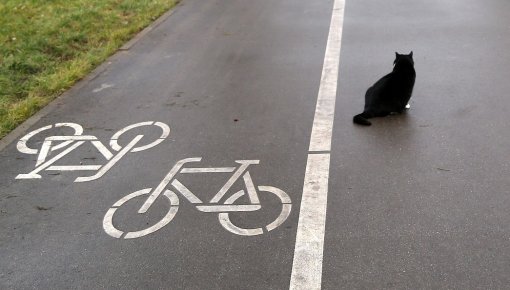 �� ����� ��������� ������� ��������� ������� ��� ��������� � ��������������